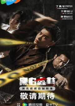 2024年国产大陆电视剧《黑白森林》全28集 4K网盘迅雷下载