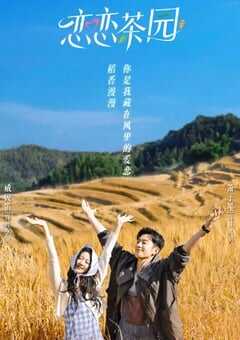 2024年国产大陆短剧《恋恋茶园》全24集 4K网盘迅雷下载