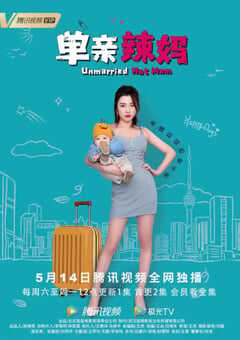 2022年国产大陆电视剧《单亲辣妈》全12集 4K网盘迅雷下载