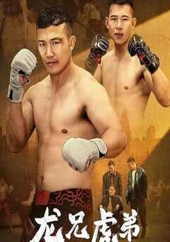 2025年国产动作片《龙兄虎弟》HD国语中字 4K网盘迅雷下载