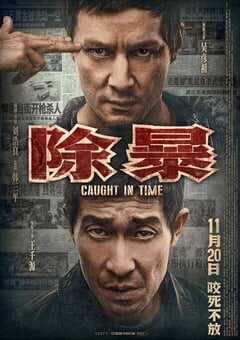 2020年国产6.5分剧情片《除暴》BD国粤双语中字 4K网盘迅雷下载