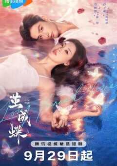 2025年国产大陆电视剧《茧成蝶》全24集 4K网盘迅雷下载