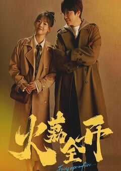 2025年国产大陆电视剧《火荔全开》全22集 4K网盘迅雷下载