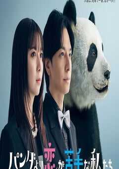 2026年日本电视剧《比熊猫更不擅长恋爱的我们》连载至09 4K网盘迅雷下载