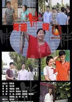 2020年国产喜剧片《奇葩胖嫂》HD国语中字 4K网盘迅雷下载