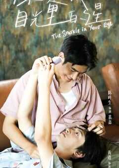 2025年新加坡电视剧《你是我目光里的星》全12集 4K网盘迅雷下载