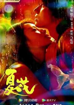 2023年国产大陆电视剧《夏花》全24集 4K网盘迅雷下载