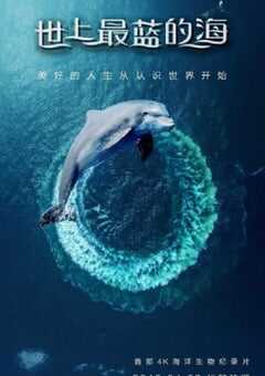 2019年美国纪录片《世上最蓝的海》全8集 4K网盘迅雷下载