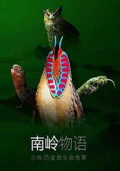 2021年国产大陆纪录片《南岭物语》全3集 4K网盘迅雷下载