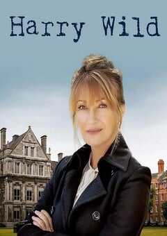 2022年爱尔兰电视剧《野探哈莉 第一季》全8集 4K网盘迅雷下载