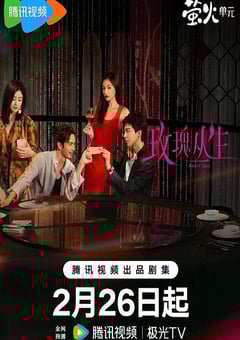 2026年国产电视剧《玫瑰丛生》 全第26集 4K网盘迅雷下载