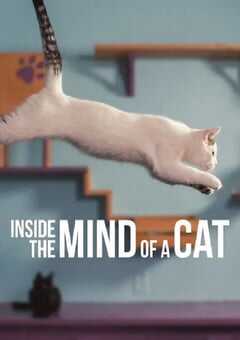 2022年美国纪录片《喵星人的奇思妙想》HD英语中字 4K网盘迅雷下载