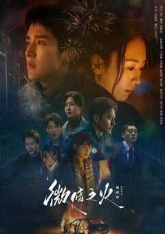 2024年国产大陆电视剧《微暗之火》全28集 4K网盘迅雷下载