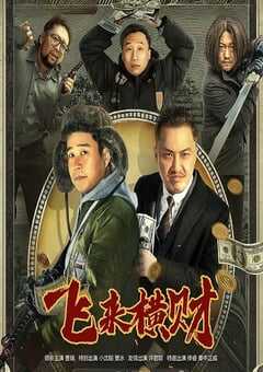 2024年国产喜剧片《飞来横财》HD国语中字 4K网盘迅雷下载