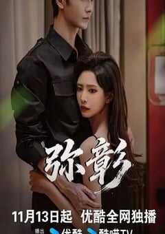2025年国产大陆电视剧《弥彰》全20集 4K网盘迅雷下载