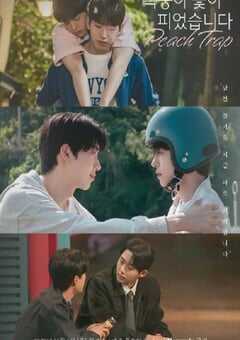 2025年韩国电视剧《桃花开好了》全8集 4K网盘迅雷下载