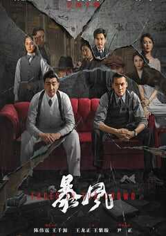 2023年国产动作悬疑片《暴风》HD国语中字 4K网盘迅雷下载