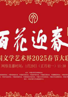 2025年国产真人秀《中国文学艺术界2025春节大联欢》HD国语中字 4K网盘迅雷下载