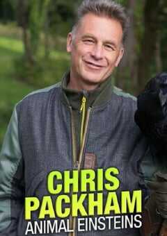 2021年英国纪录片《动物界的爱因斯坦》全6集 4K网盘迅雷下载