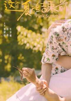 2024年国产大陆电视剧《这个夏天结束前》全4集 4K网盘迅雷下载