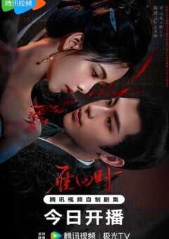 2025年国产大陆电视剧《雁回时》全30集 4K网盘迅雷下载