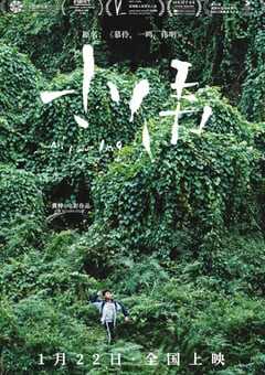 2019年国产7.6分剧情家庭片《小伟》BD国语中字 4K网盘迅雷下载