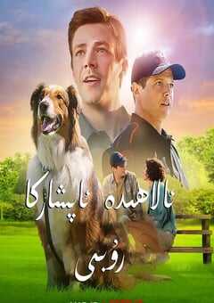 2022年美国7.3分剧情儿童片《义犬救主》BD中英双字 4K网盘迅雷下载