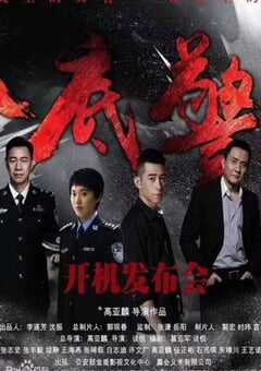 2023年国产大陆电视剧《卧底警花》全35集 4K网盘迅雷下载