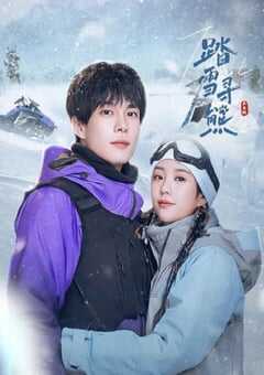 2025年国产大陆电视剧《踏雪寻熊》全24集 4K网盘迅雷下载