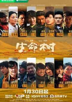 2026年国产大陆电视剧《生命树》全40集 4K网盘迅雷下载