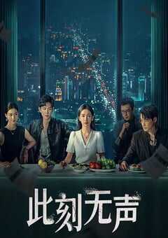 2024年国产大陆电视剧《此刻无声》全20集 4K网盘迅雷下载