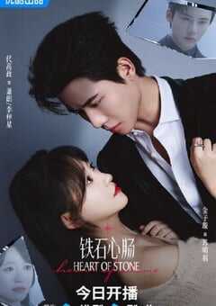 2025年国产大陆电视剧《铁石心肠》全24集 4K网盘迅雷下载