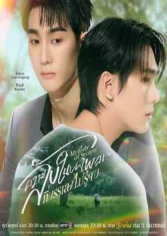 2025年泰国电视剧《觅密悬律》全10集 4K网盘迅雷下载