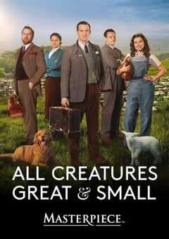 2020年英国电视剧《万物生灵：2020圣诞特别集》全1集 4K网盘迅雷下载