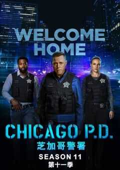 2024年美国电视剧《芝加哥警署 第十一季》全13集 4K网盘迅雷下载