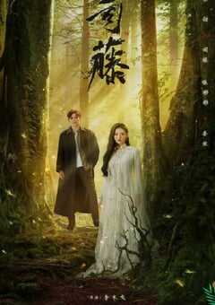 2021年国产大陆电视剧《司藤》全30集 4K网盘迅雷下载