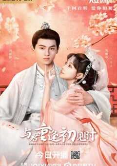 2025年国产大陆电视剧《与君重逢初见时》全24集 4K网盘迅雷下载