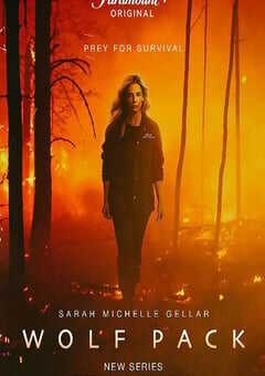 2023年美国电视剧《狼群》全8集 4K网盘迅雷下载