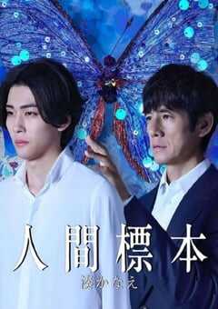 2025年日本电视剧《人类标本》全5集 4K网盘迅雷下载
