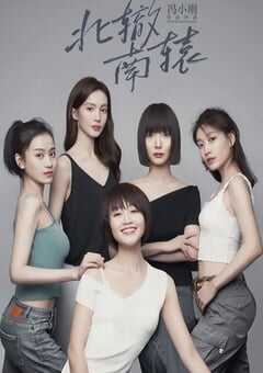 2021年国产大陆电视剧《北辙南辕》全30集 4K网盘迅雷下载