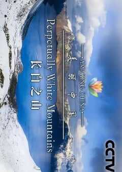 2019年国产大陆电视剧《美丽中国》全60集 4K网盘迅雷下载