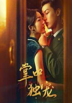 2024年国产大陆短剧《掌中独宠》全24集 4K网盘迅雷下载