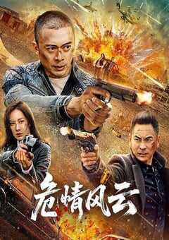 2025年国产动作片《危情风云》HD国语中字 4K网盘迅雷下载