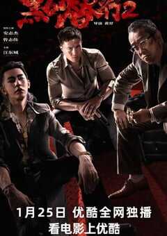 2025年国产动作片《黑白潜行2》HD双语中字 4K网盘迅雷下载