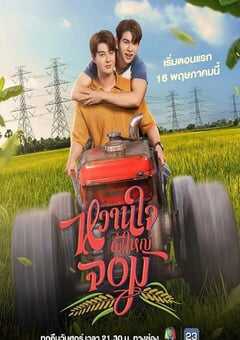 2025年泰国电视剧《村长的甜心》全12集 4K网盘迅雷下载