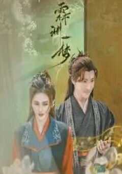 2024年国产大陆电视剧《霖渊一梦》全20集 4K网盘迅雷下载