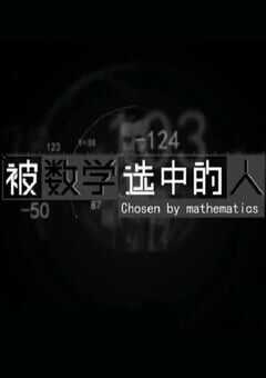 2021年国产大陆纪录片《被数学选中的人》全4集 4K网盘迅雷下载