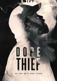 2025年美国电视剧《毒窃之徒》全8集 4K网盘迅雷下载