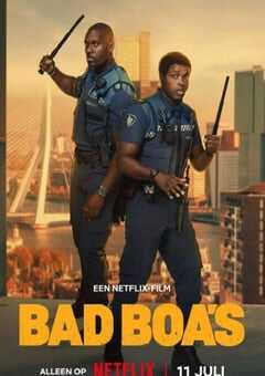 2025年荷兰喜剧片《凹凸双雄》HD荷兰语中字 4K网盘迅雷下载