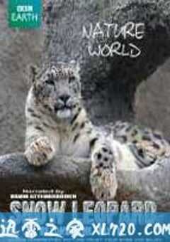行星地球特别版：雪豹 (2006) 4K网盘迅雷下载